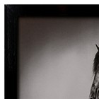 Картина "Пара лошадей" 56х76см рамка МИКС - Фото 3