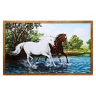 Картина "Пара лошадей" 66х106см рамка микс - фото 317871744