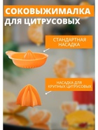 Соковыжималка для цитрусовых Martika «Мадена», 300 мл, пластик, МИКС - Фото 4