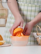 Соковыжималка для цитрусовых Martika «Мадена», 300 мл, пластик, МИКС - Фото 5