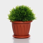 Горшок для цветов с поддоном «Фелиция», 400 мл, d=10.7 см, h=8.3 см, пластиковый, терракотовый - Фото 12