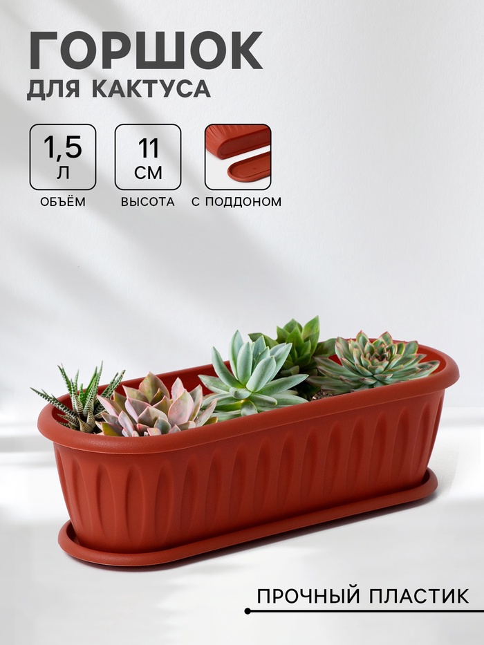 Горшок для кактуса с поддоном «Фелиция», 1.5 л, терракотовый - Фото 1