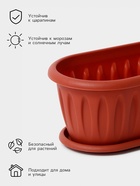 Горшок для кактуса с поддоном «Фелиция», 1.5 л, терракотовый - Фото 2
