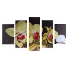 Картина модульная на подрамнике "Орхидеи ночью" 2-43х25, 2-58х25, 1-72х25 см, 75*135см - Фото 1