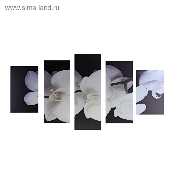 Картина модульная на подрамнике "Великолепная орхидея" 2-43х25, 2-58х25, 1-72х25 см, 75*135см 116595 - Фото 1
