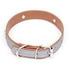 Ошейник со светоотражающей полосой и косточками, 45 х 2 см, микс цветов - Фото 2