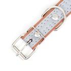 Ошейник со светоотражающей полосой и косточками, 45 х 2 см, микс цветов - Фото 5