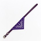 Ошейник с косынкой 32 х 1 см, ОШ 22-28, фиолетовый - Фото 3