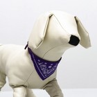 Ошейник с косынкой 32 х 1 см, ОШ 22-28, фиолетовый - Фото 4