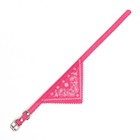 Ошейник с косынкой 32 х 1 см, ОШ 22-28, розовый - Фото 3