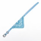 Ошейник с косынкой 32 х 1 см, ОШ 22-28, голубой - Фото 3