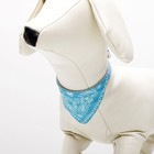 Ошейник с косынкой 32 х 1 см, ОШ 22-28, голубой - Фото 4