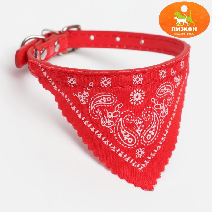 Ошейник с косынкой 32 х 1 см, ОШ 22-28, красный - Фото 1