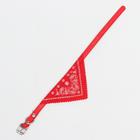 Ошейник с косынкой 32 х 1 см, ОШ 22-28, красный - Фото 2