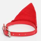 Ошейник с косынкой 32 х 1 см, ОШ 22-28, красный - Фото 3