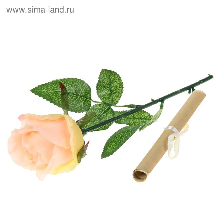 Роза со свитком–пожеланием «Любимой маме», 6.5 × 30 см - Фото 1
