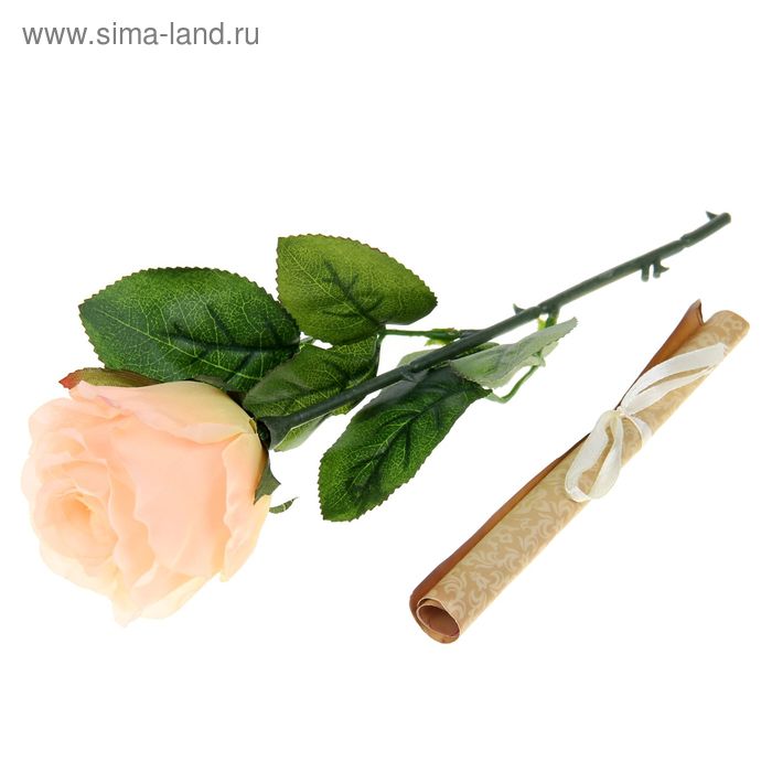 Роза со свитком–пожеланием «С Днём рождения», 6.5 × 30 см - Фото 1