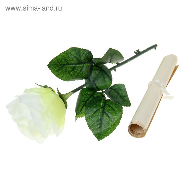 Роза со свитком–пожеланием «Имениннице», 6.5 × 30 см - Фото 1