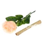 Роза со свитком–пожеланием «Любимой бабушке», 6.5 × 30 см - Фото 1