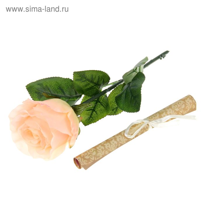 Роза со свитком–пожеланием «Любимой бабушке», 6.5 × 30 см - Фото 1