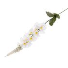 цветы искусственные гладиолус Оскар 45 см белый - Фото 1