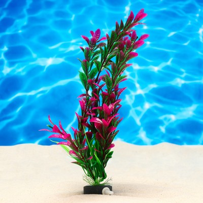 Растение искусственное