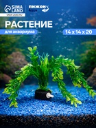 Растение искусственное - Фото 1