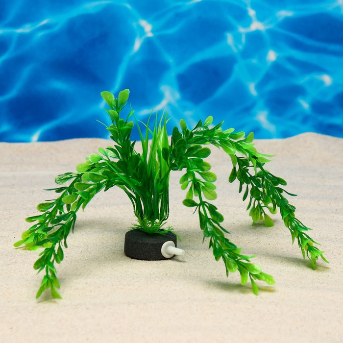 Растение искусственное - Фото 1