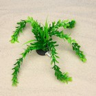 Растение искусственное - Фото 3