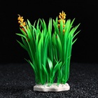 Островок с растениями искусственными для аквариума, 17×12×22 см - Фото 3