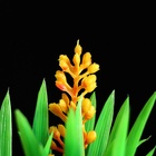 Островок с растениями искусственными для аквариума, 17 х 12 х 22 см - фото 809596557