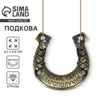 Подкова металл «Счастья, удачи, благополучия», 6.5×6.8 см - Фото 1