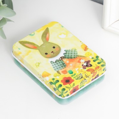 Шкатулка для украшений «Зайка», прямоугольная, металл, 2.7×9×6.5 см