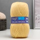 Пряжа OlgaWool (ОльгаЧШ) 95% шерсть, 5% акрил 392м/100гр (772 шампанск.) - Фото 1