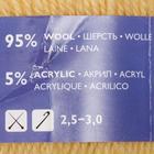 Пряжа OlgaWool (ОльгаЧШ) 95% шерсть, 5% акрил 392м/100гр (772 шампанск.) - Фото 2