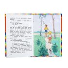 Винтик, Шпунтик и пылесос. Рассказы (ил. И. Семенова) - Фото 4