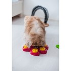 Интеллектуальная игрушка для сухого корма "Лапа" с 7 отсеками, микс цветов - Фото 7