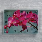 Часы настенные, серия: Цветы, "Розовая орхидея", 25х35  см, микс - Фото 1