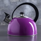 Чайник со свистком 1,8 л "Радуга", фиксированная ручка, цвет сиреневый - Фото 1