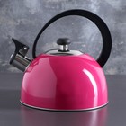 Чайник "Аманда", 1,8 л, со свистком, фиксированная ручка, цвет розовый - Фото 1