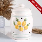 Банка для хранения лука Кунгурская керамика «Глазурь», 4 л, с отверстиями для вентиляции, белая - Фото 1