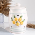 Банка для хранения лука Кунгурская керамика «Глазурь», 4 л, с отверстиями для вентиляции, белая - Фото 2