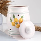 Банка для хранения лука Кунгурская керамика «Глазурь», 4 л, с отверстиями для вентиляции, белая - Фото 3