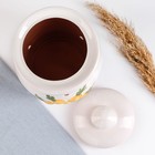 Банка для хранения лука Кунгурская керамика «Глазурь», 4 л, с отверстиями для вентиляции, белая - Фото 4