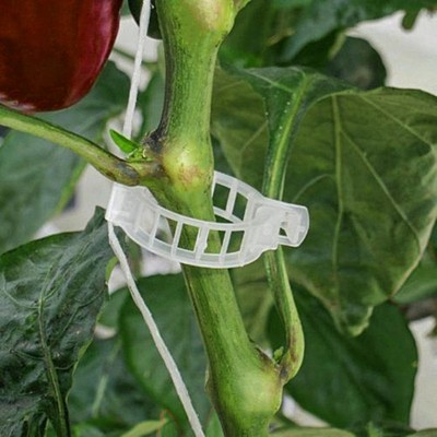 Клипса садовая, d=23 мм, набор 50 шт., Greengo