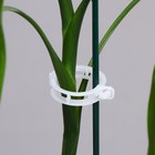 Клипса садовая, d=23 мм, набор 50 шт., Greengo - Фото 7