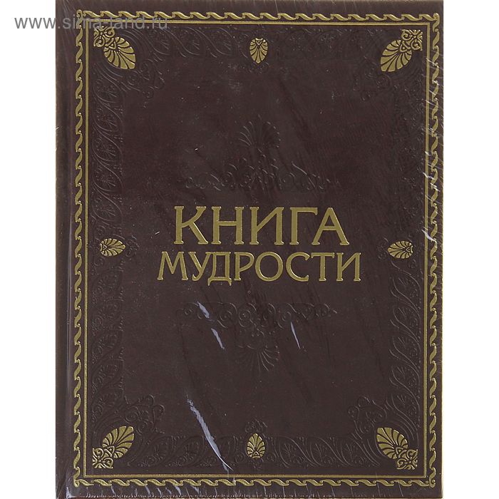 Книга Мудрости Картинки