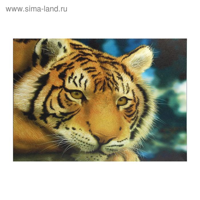Холст "Тигр" 50*70см - Фото 1