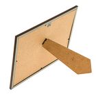 Карта рельефная 3D КРЫМ с панорамным эффектом А-4 - Фото 3