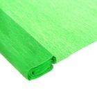 Бумага крепированная 50 х 200 см, в рулоне, 32 г/м2, светло-зелёная - Фото 3